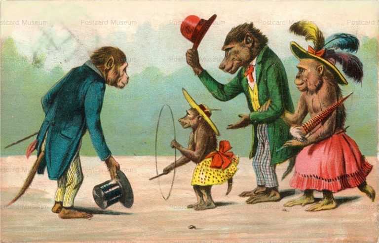 ng010-挨拶する猿の家族　greeting